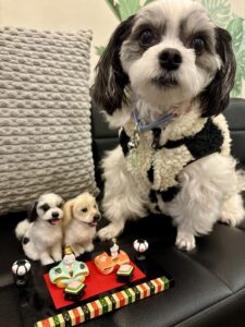 チップ　ひな祭り